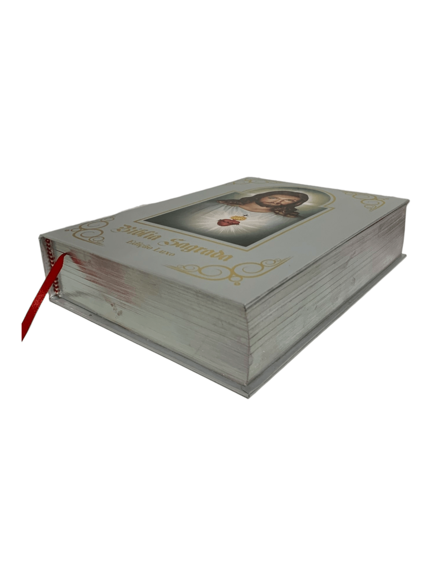 Bíblia Sagrada Ilustrada Edição de Luxo Prateada-TerraCotta Arte Sacra