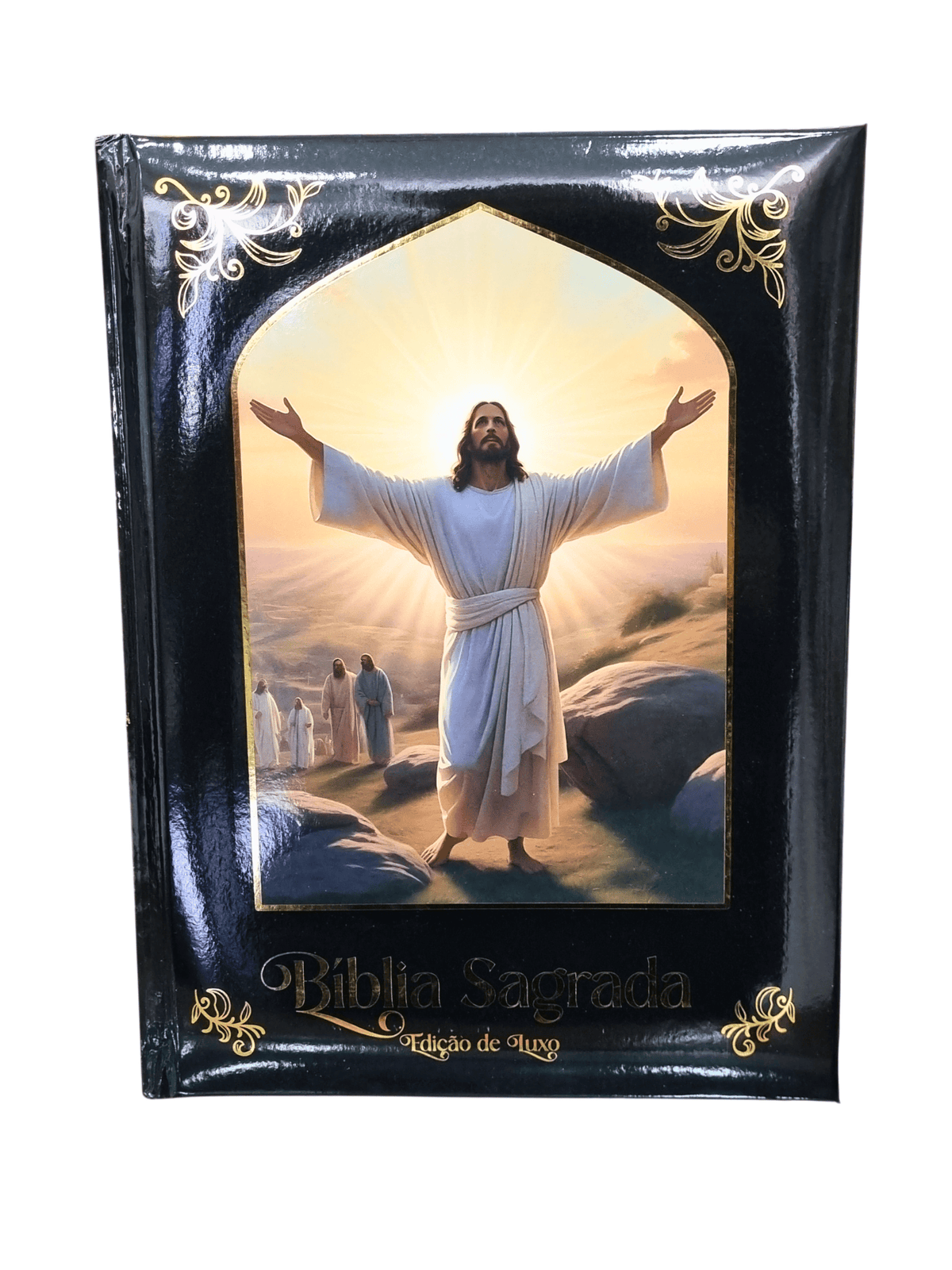 Bíblia Sagrada Ilustrada Edição Premium Jesus Vinde a Mim-TerraCotta Arte Sacra