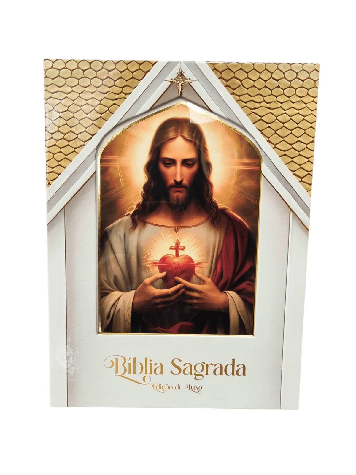 Bíblia Sagrada Ilustrada Edição Premium Sagrado Coração de Jesus-TerraCotta Arte Sacra