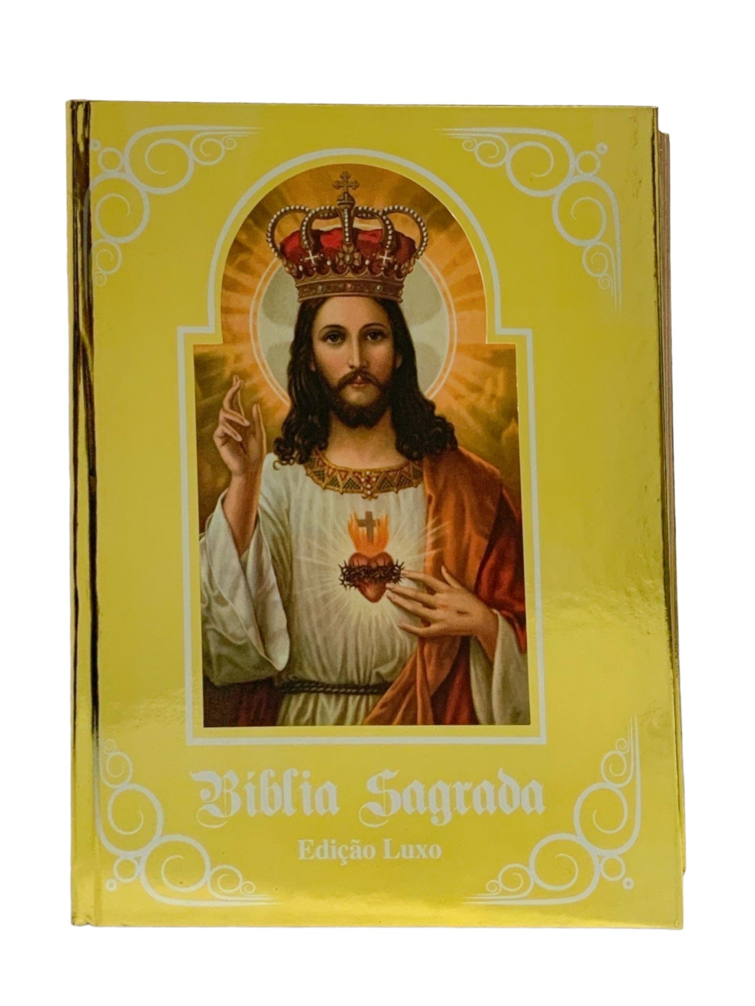 Bíblia Sagrada Ilustrada Edição de Luxo Dourada-TerraCotta Arte Sacra