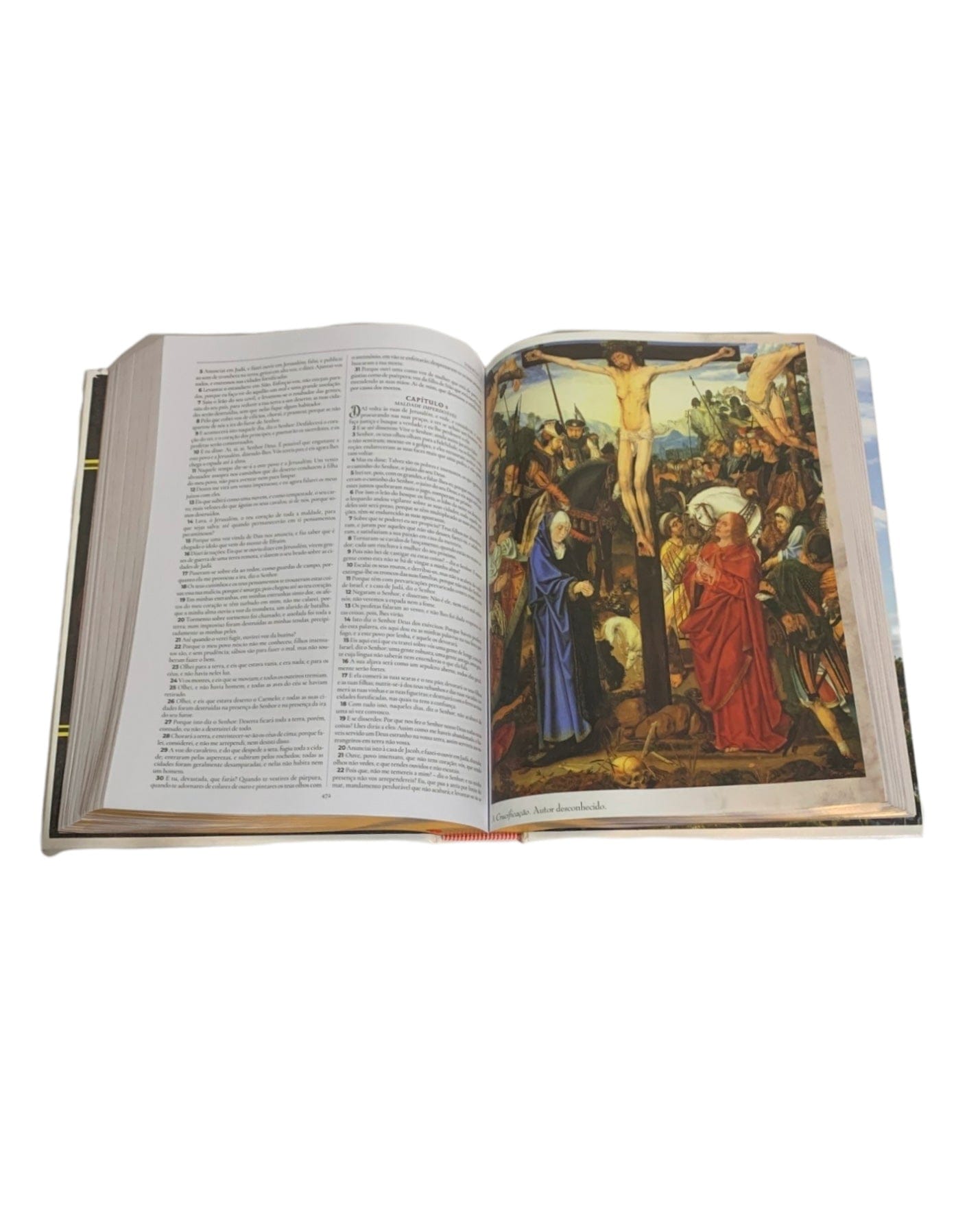 Bíblia Sagrada Ilustrada Edição de Luxo Jesus Abençoando-TerraCotta Arte Sacra