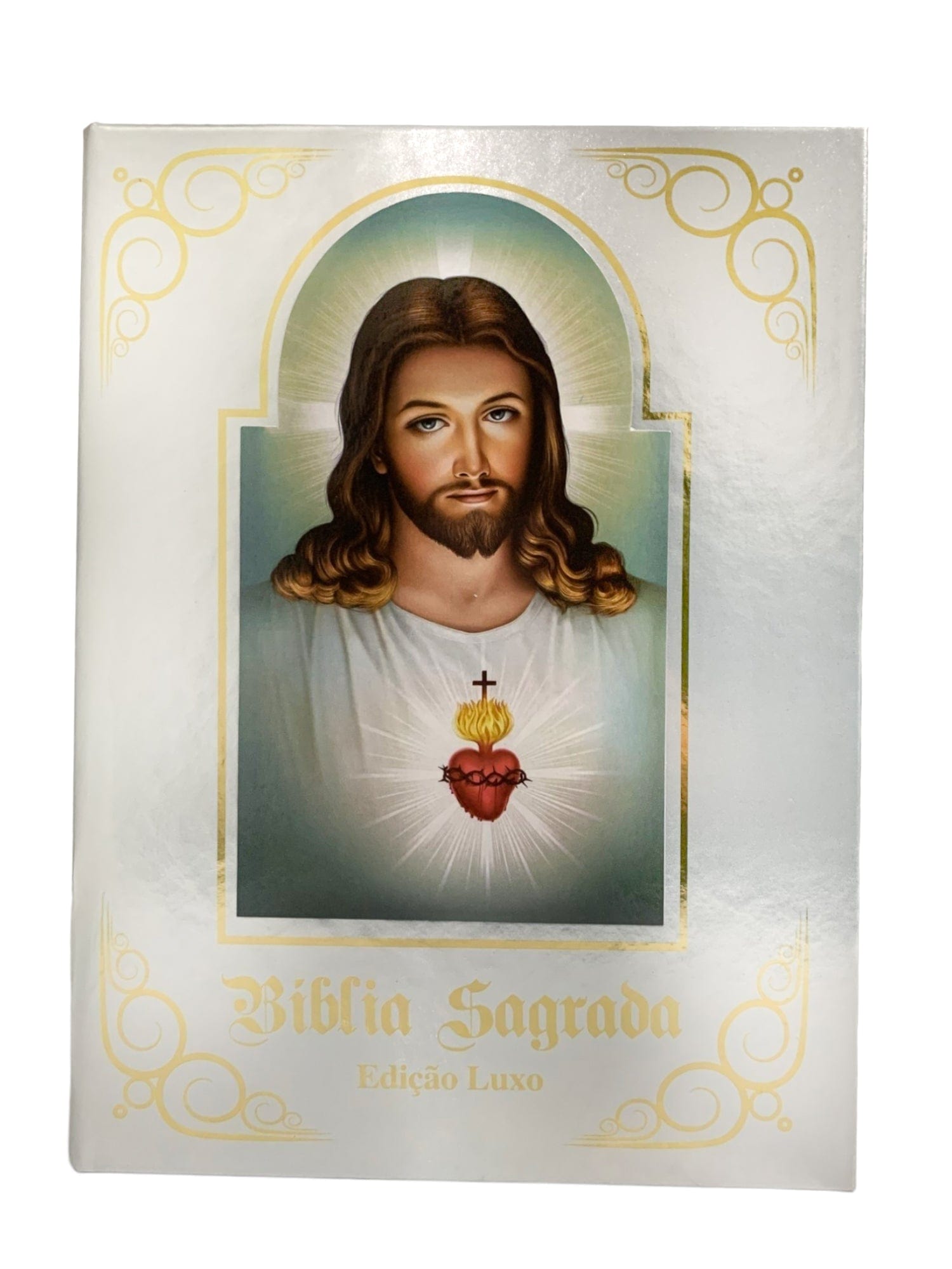 Bíblia Sagrada Ilustrada Edição de Luxo Prateada-TerraCotta Arte Sacra