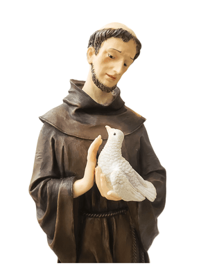 Imagem de São Francisco em Resina 30cm-TerraCotta Arte Sacra