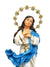 Imagem de Nossa Senhora da Conceição em Resina 20 cm-TerraCotta Arte Sacra